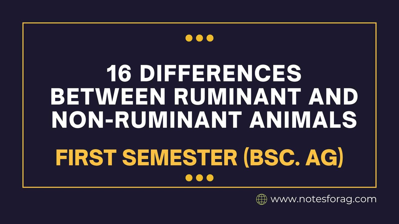 16 Differences between ruminant and non-ruminant animals