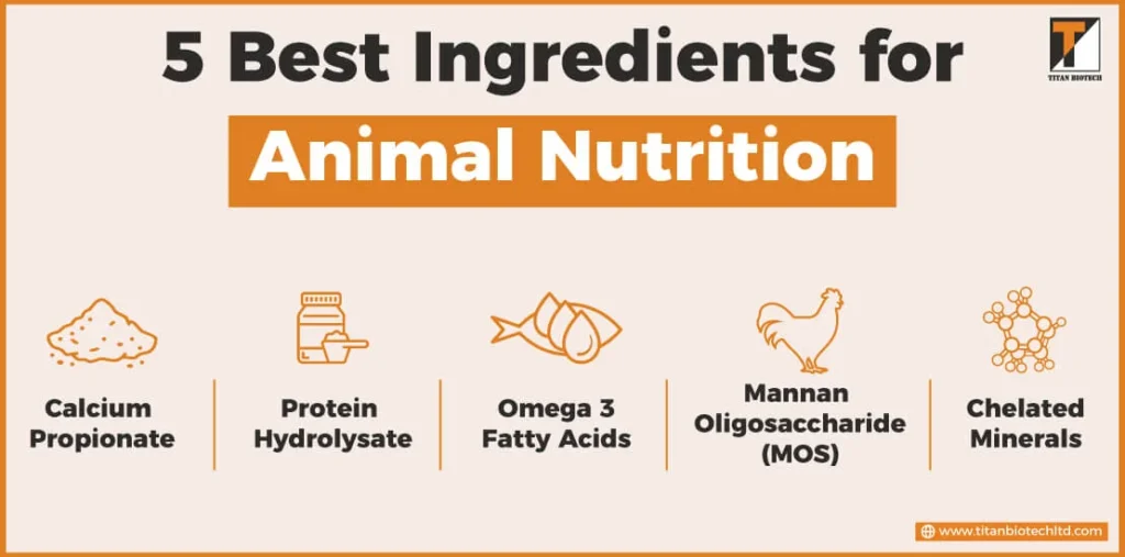 Animall Ingredient