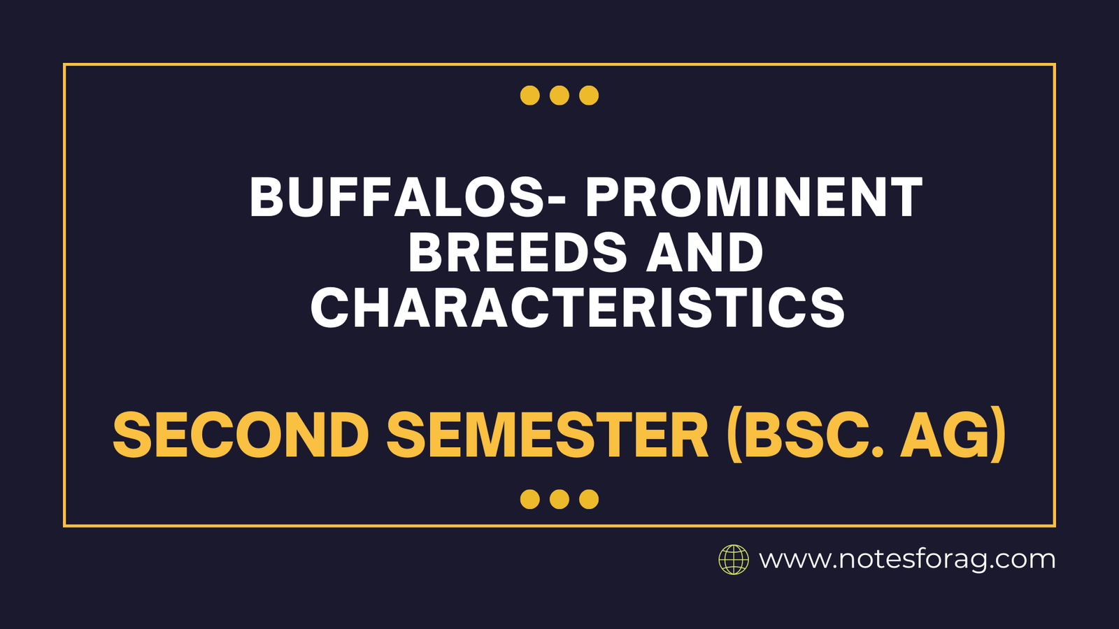 Buffalos- Prominent Breeds and Characteristics