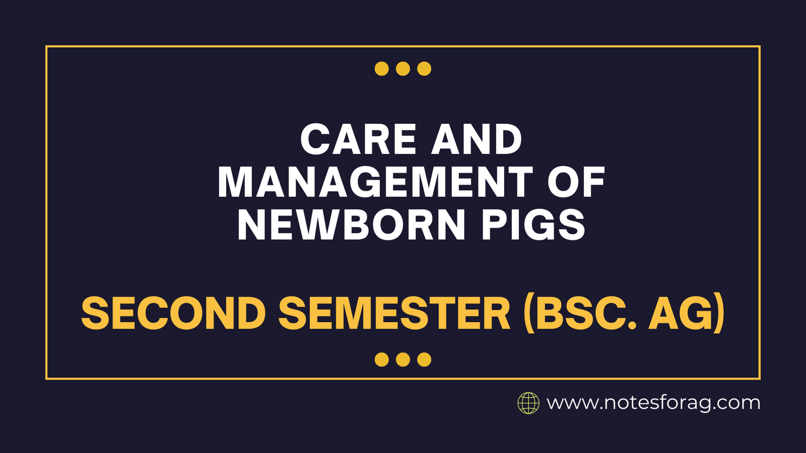 Care and Management of newborn pigs