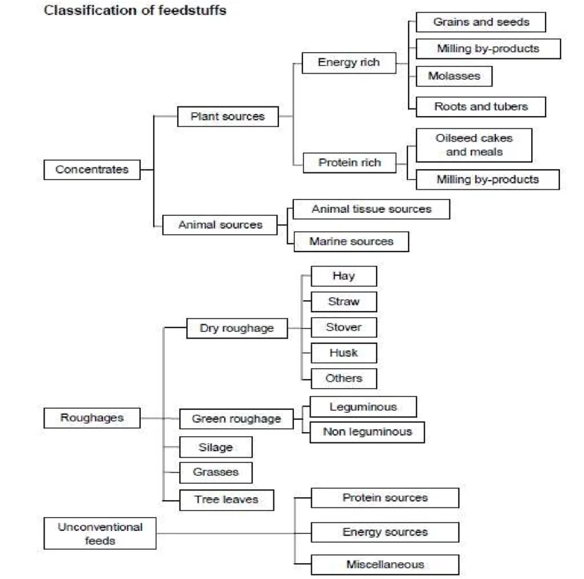Classification-of-feed-stuffs