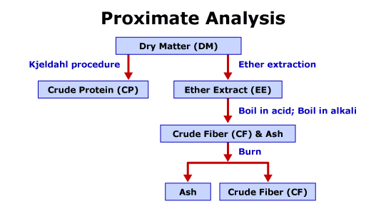 Proximate Analysis1