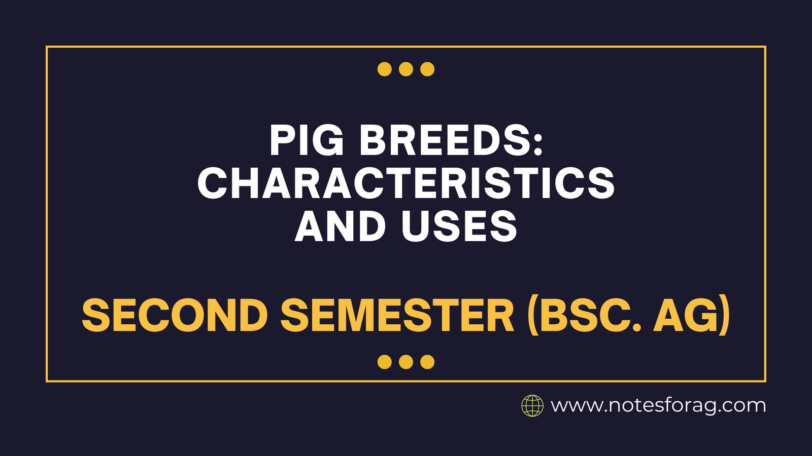 Pig Breeds Characteristics and Uses
