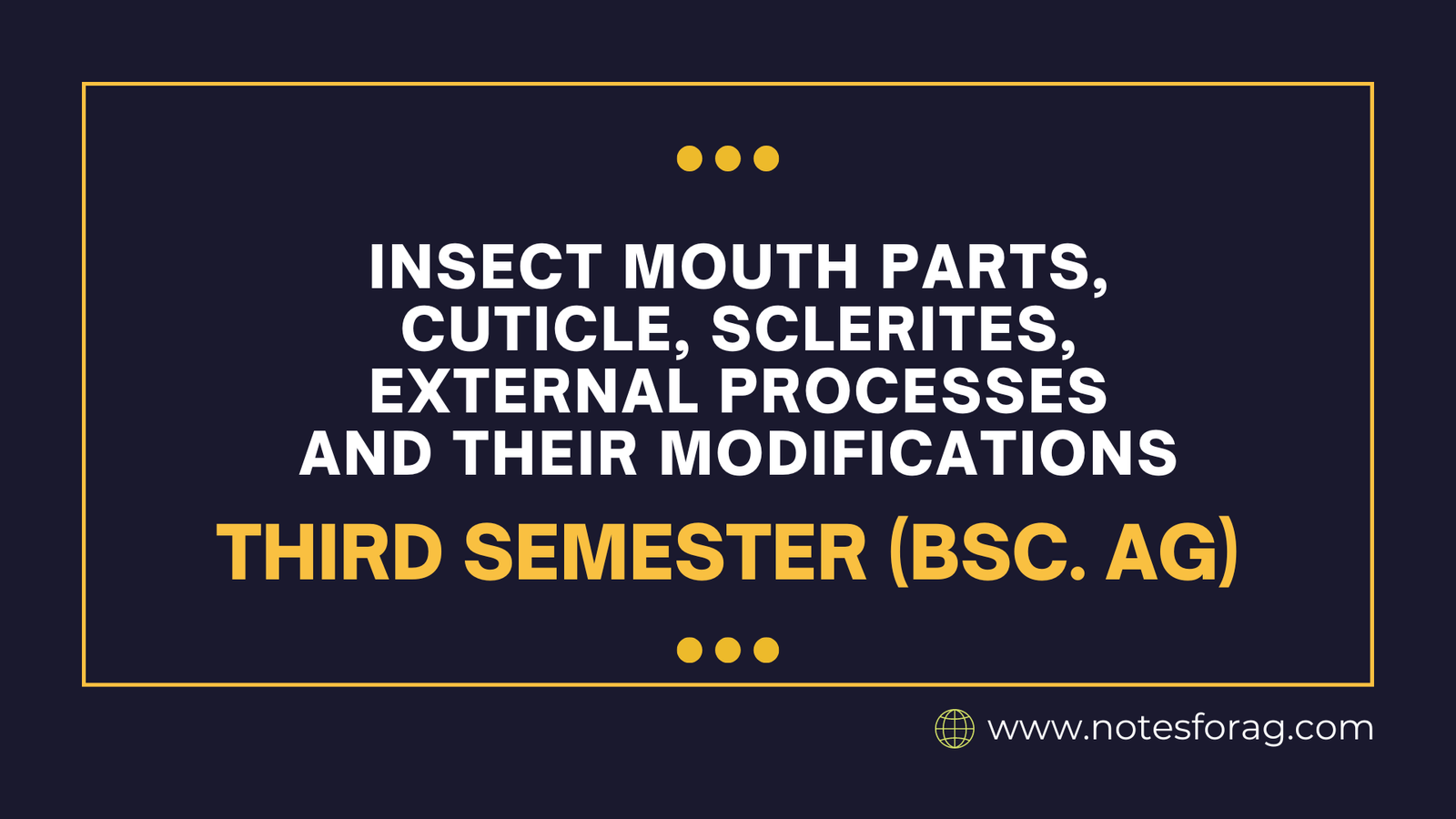 Insect mouth parts, Cuticle, Sclerites, External Processes and Their Modifications