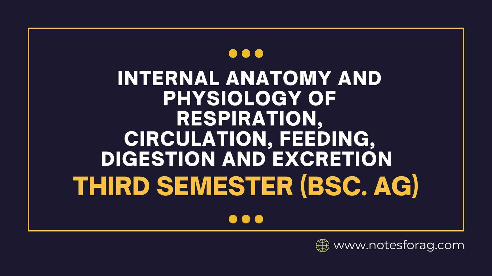 Internal Anatomy and Physiology of Respiration, Circulation, Feeding, Digestion and Excretion