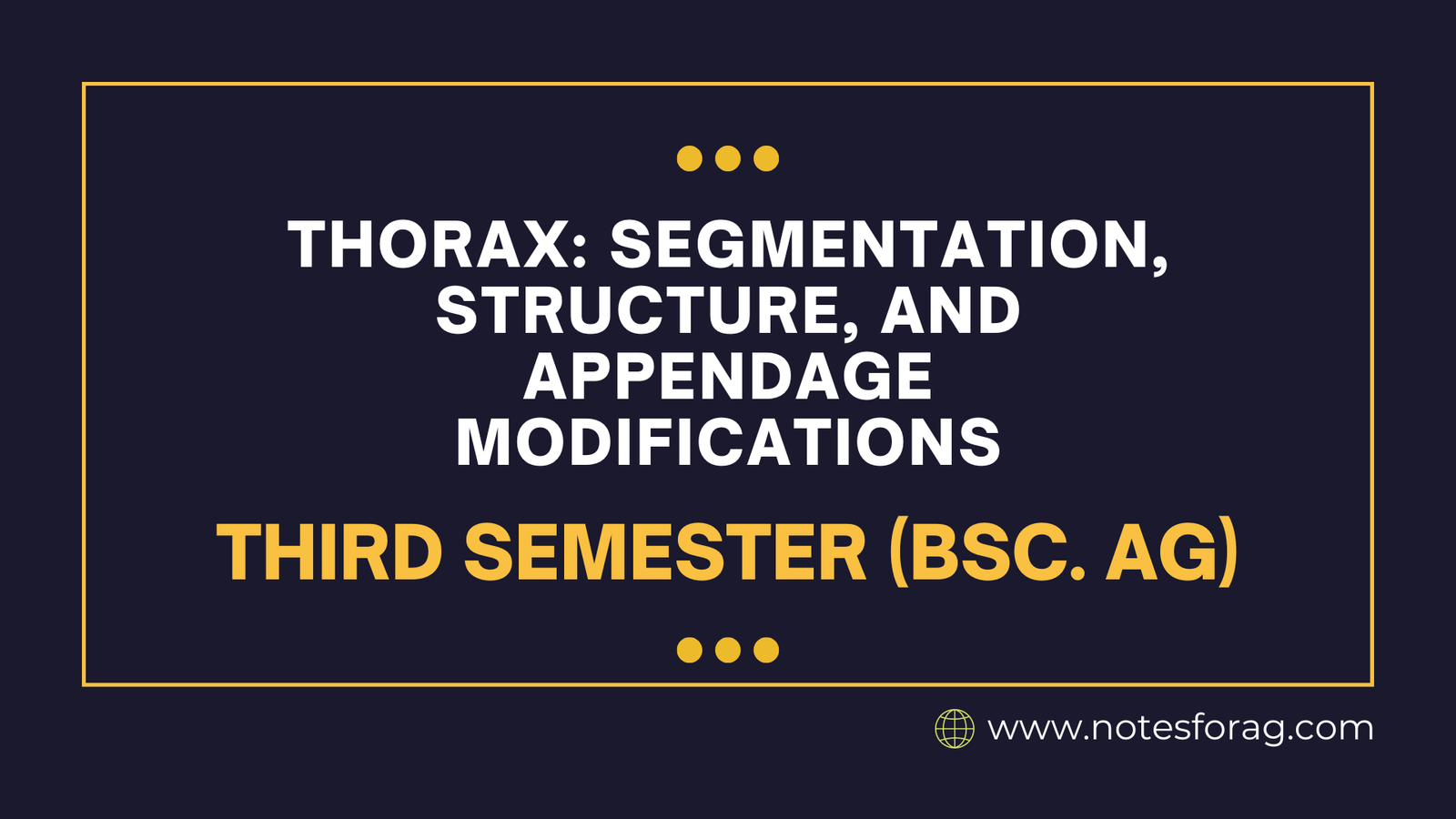 Thorax Segmentation, Structure, and Appendage Modifications