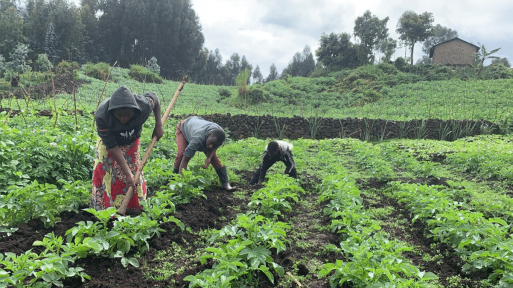 Scope of Agribusiness Management in Nepal