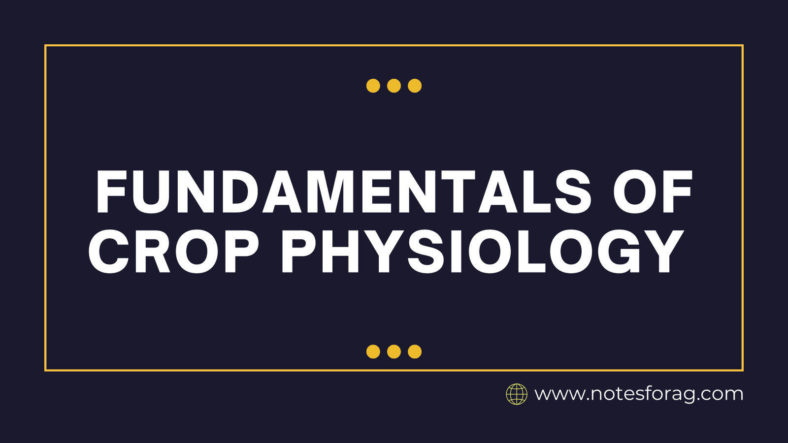 Fundamentals of Crop Physiology