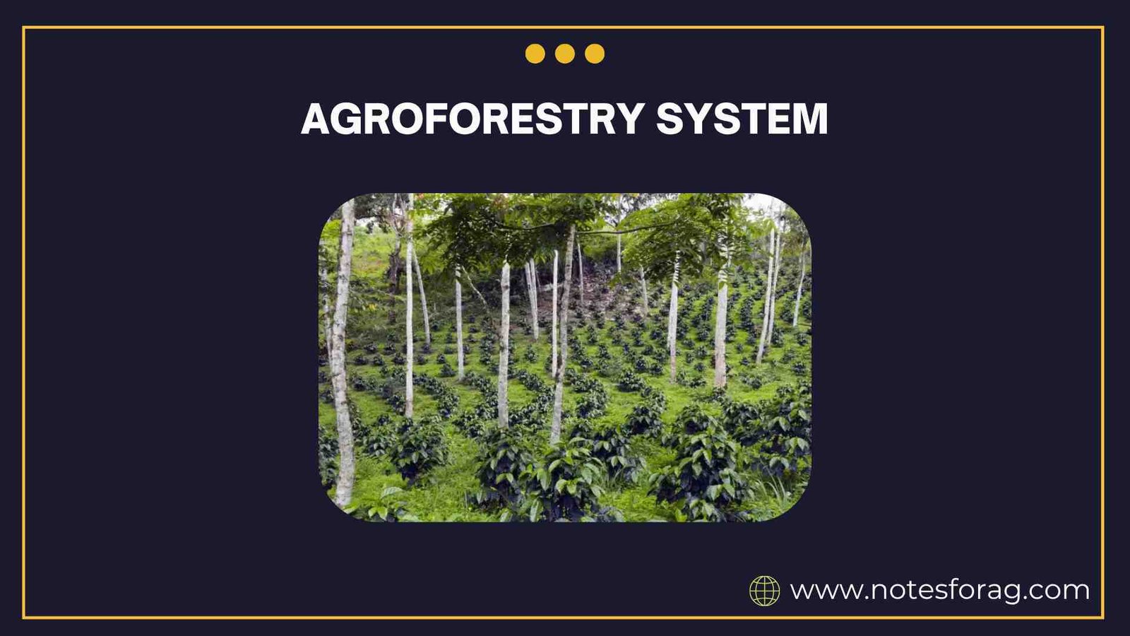 AGROFORESTRY SYSTEM