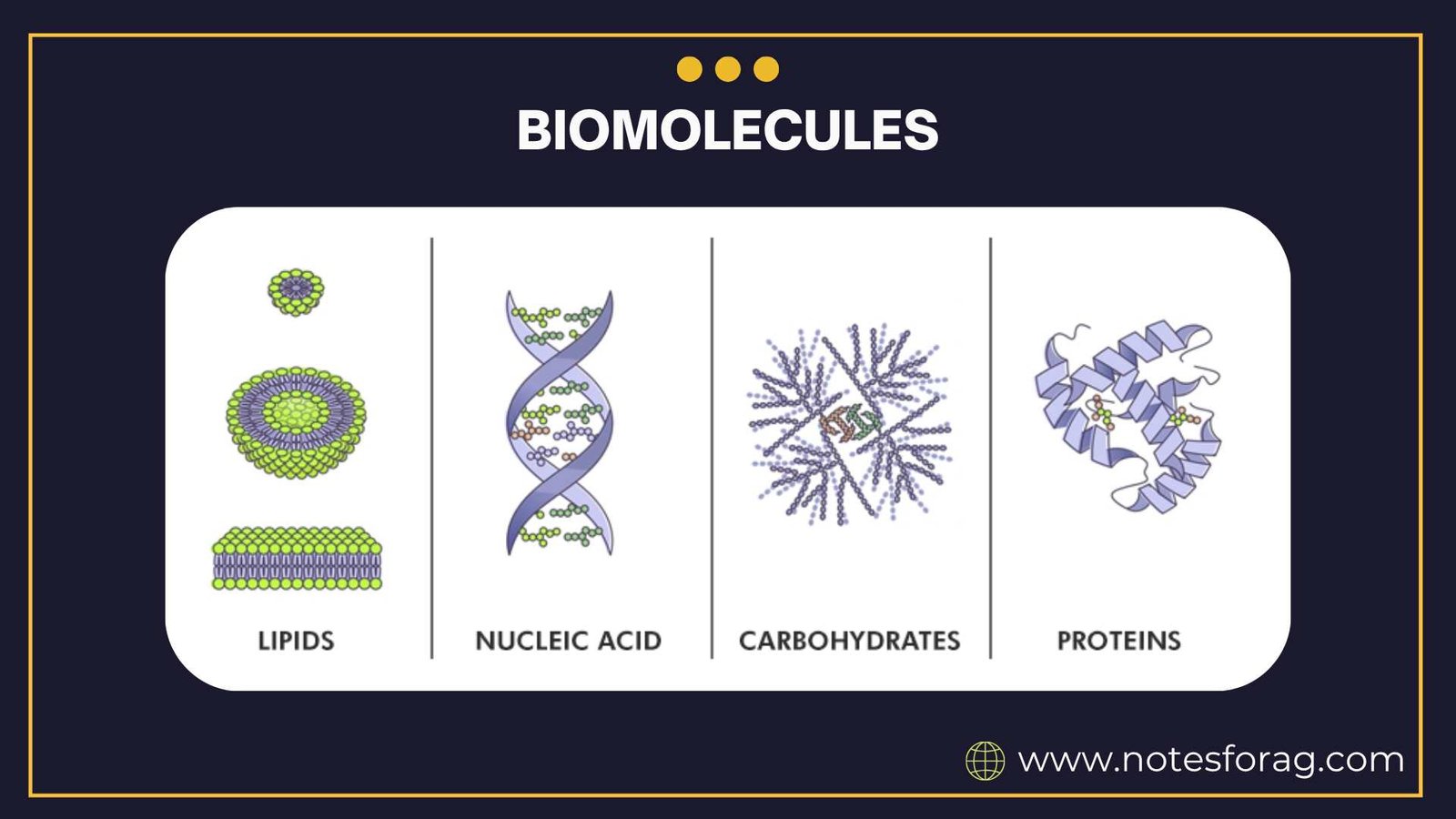 Biomolecules