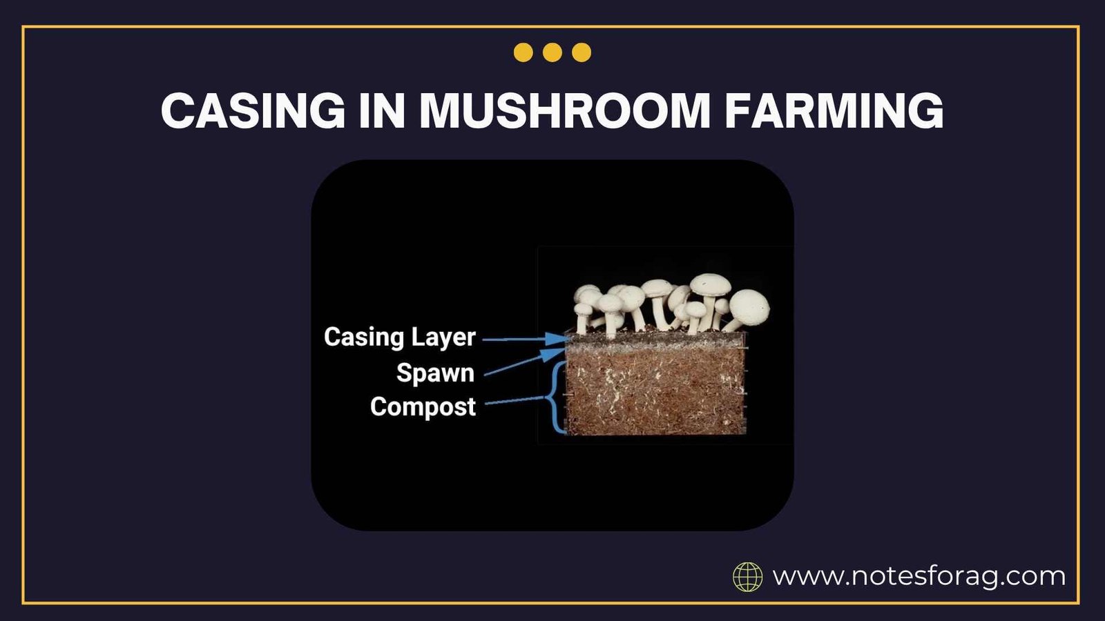 Casing in mushroom farming