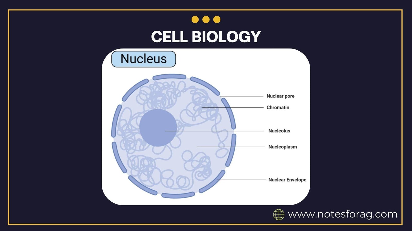 Cell Biology