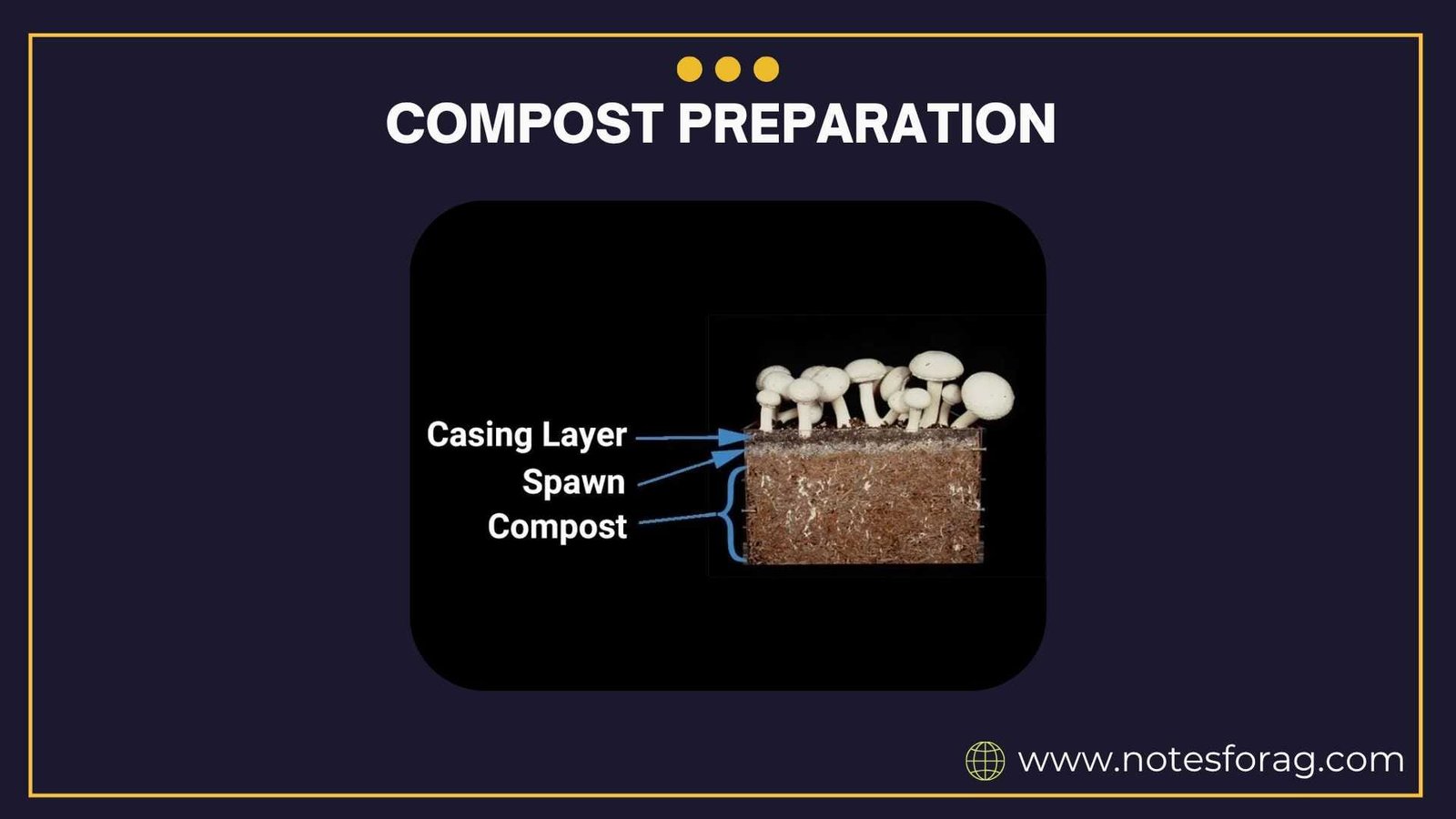 Compost preparation for button mushroom