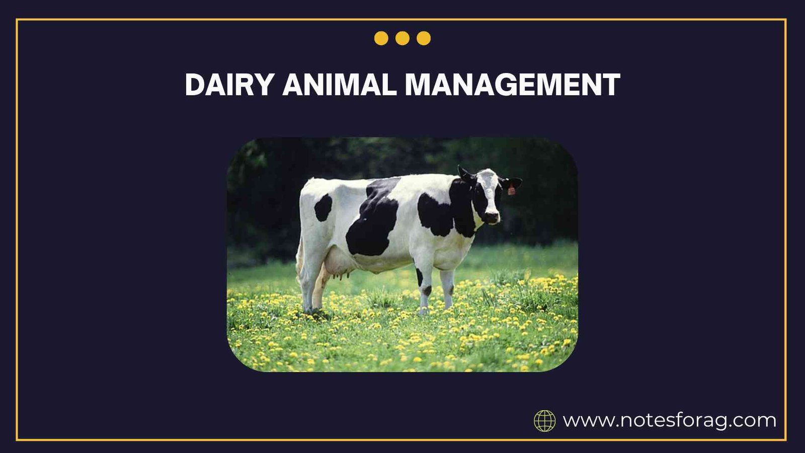 Dairy animal management