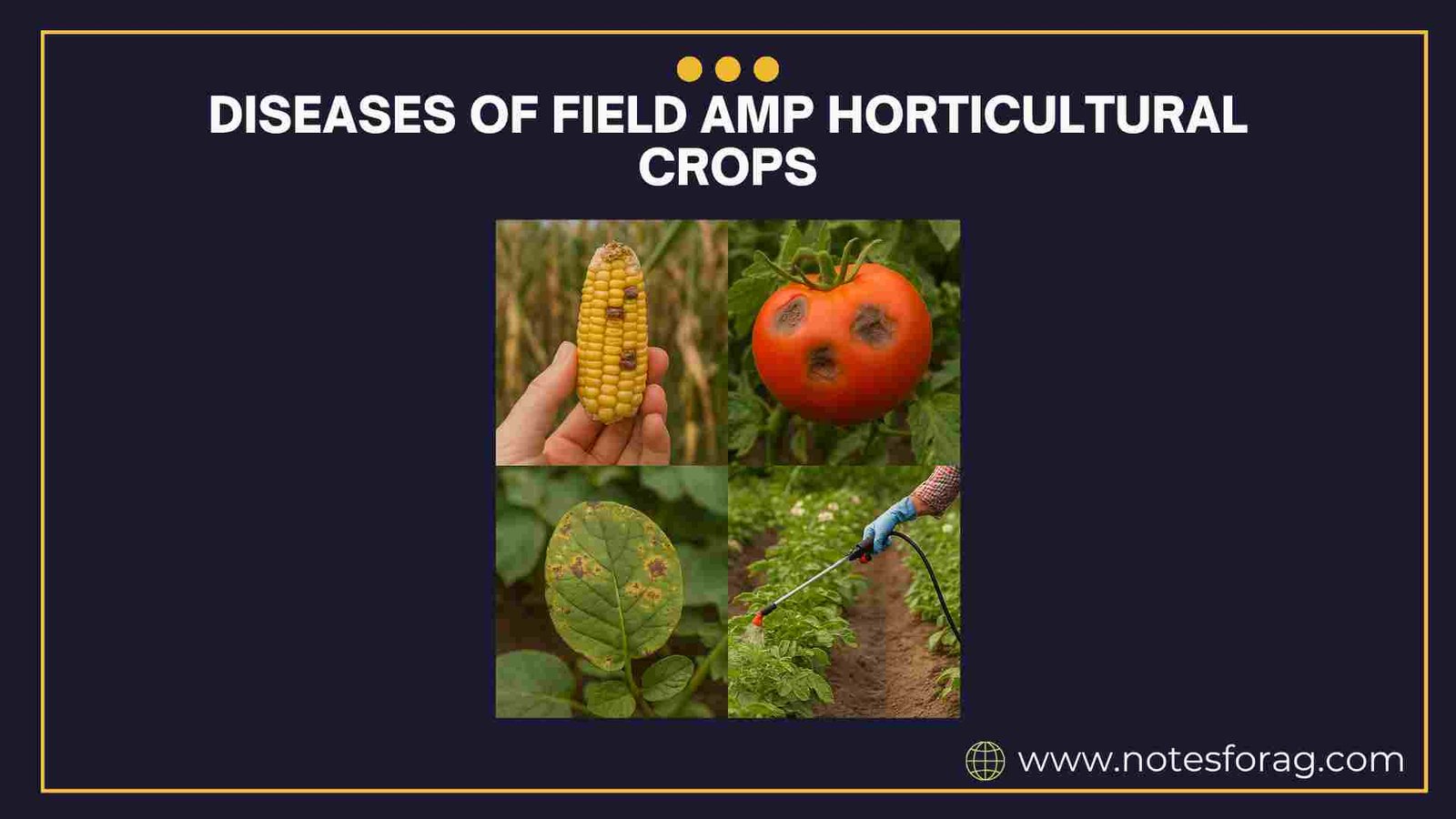Diseases of field amp horticultural crops amp their management