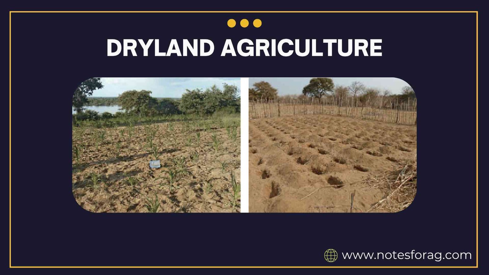 Dryland agriculture