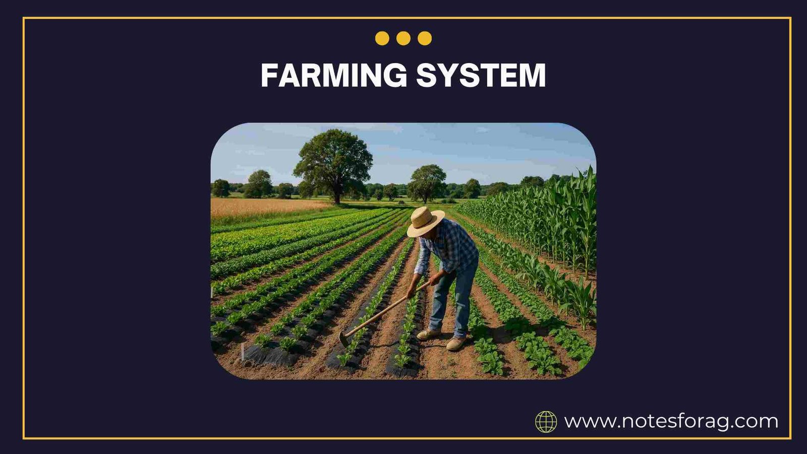 Farming system amp sustainable agriculture