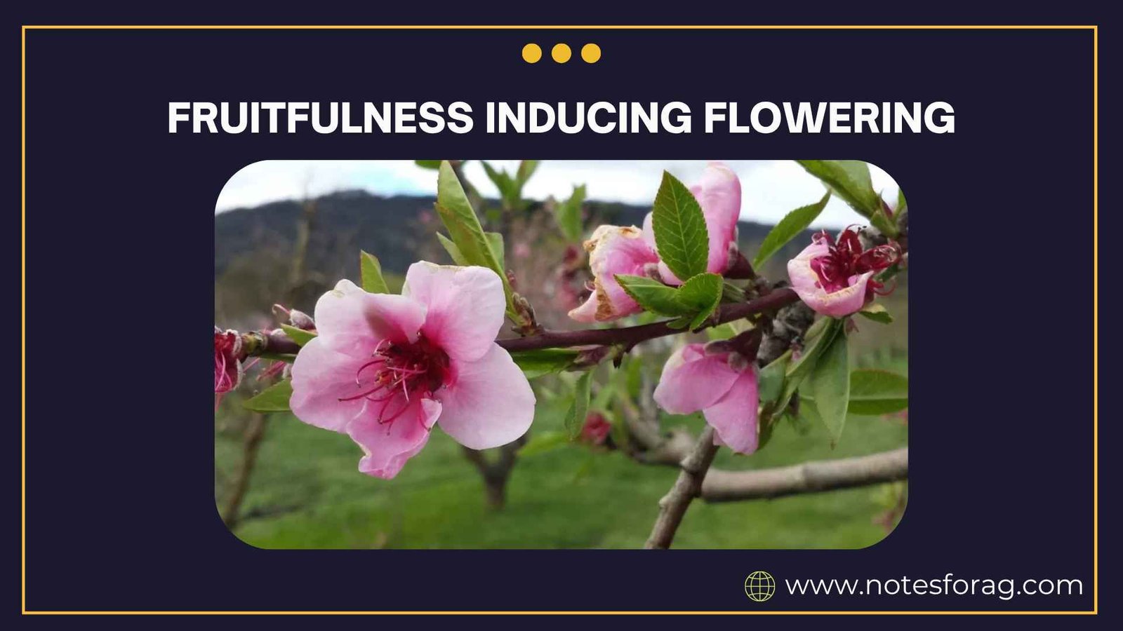 Fruitfulness inducing flowering in fruit plants