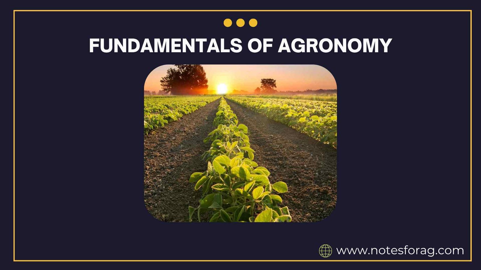 Fundamentals of Agronomy