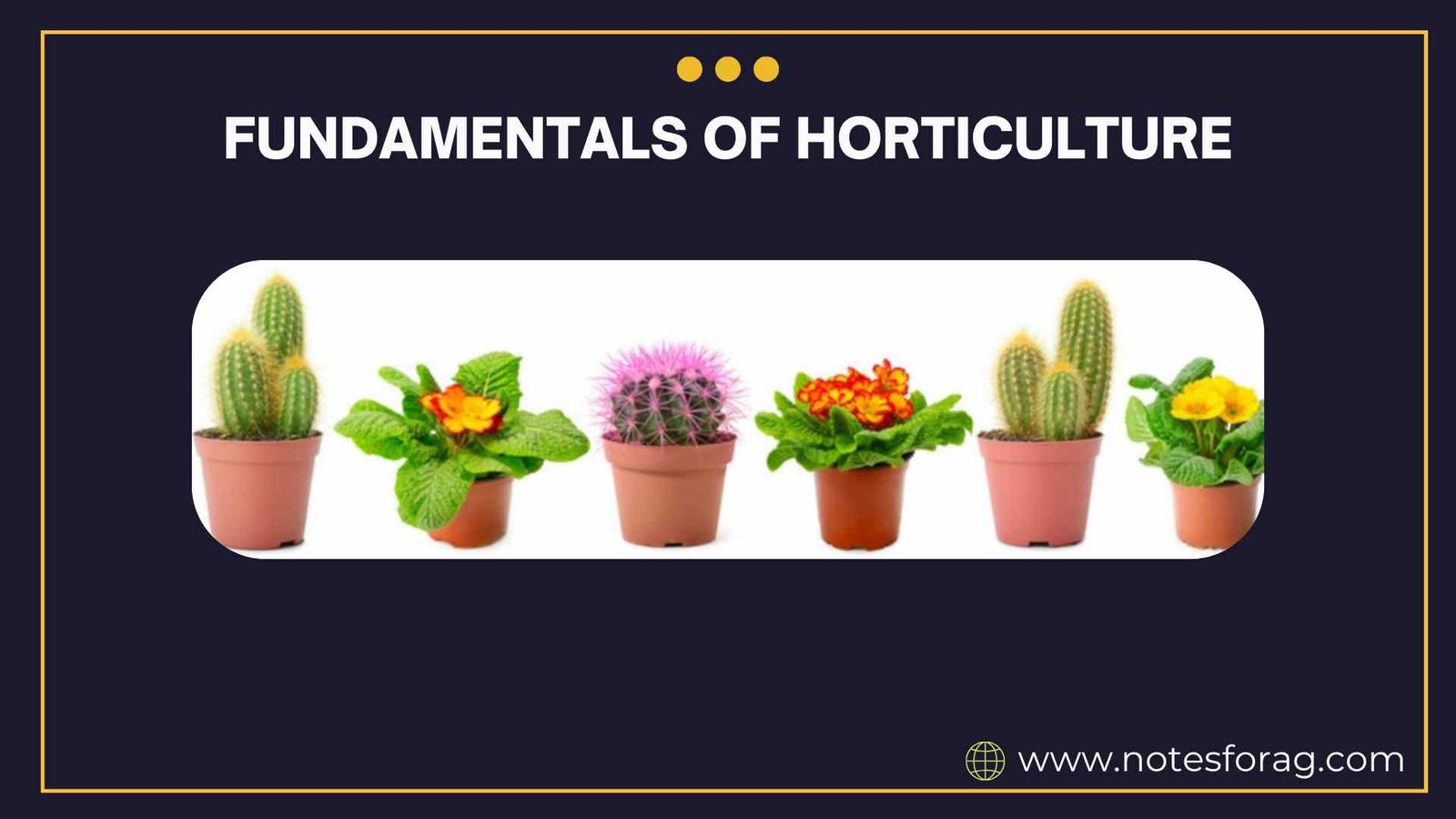 Fundamentals of horticulture