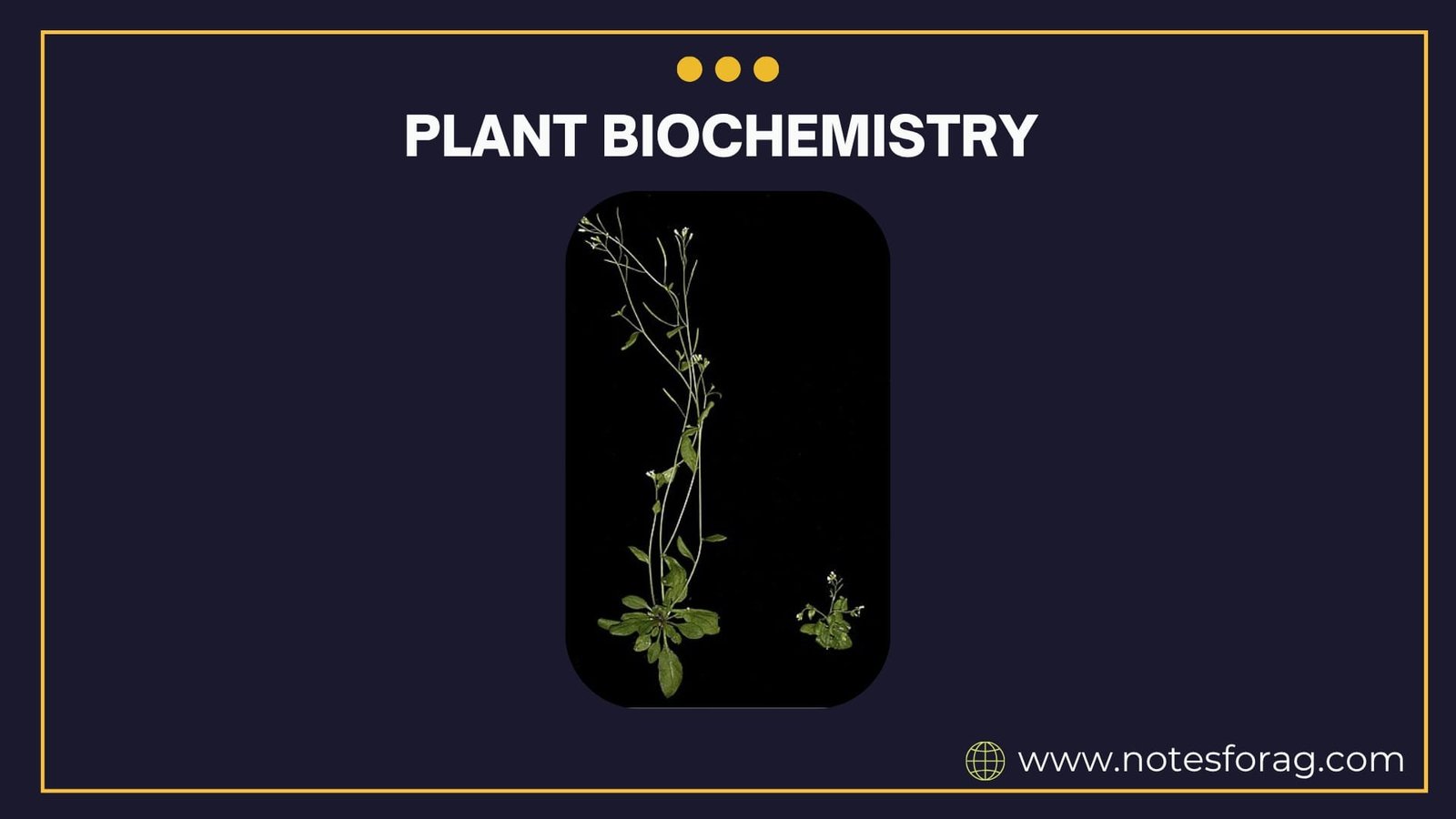 Fundamentals of plant biochemistry and biotechnology