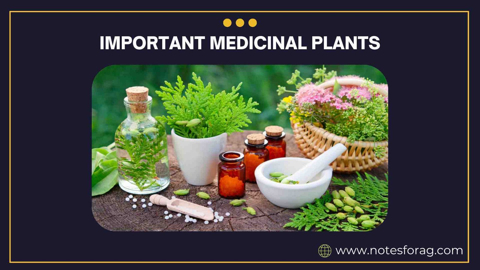 Important Medicinal Plants