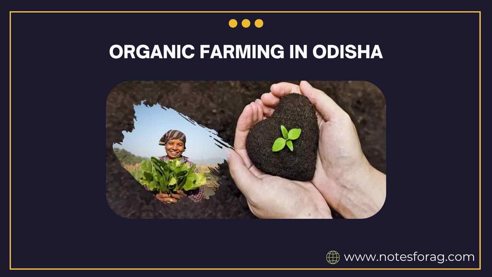 Organic farming in Odisha