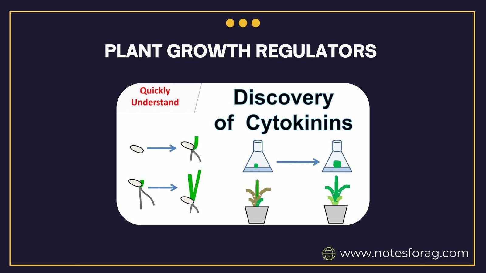 Plant growth regulators in horticulture