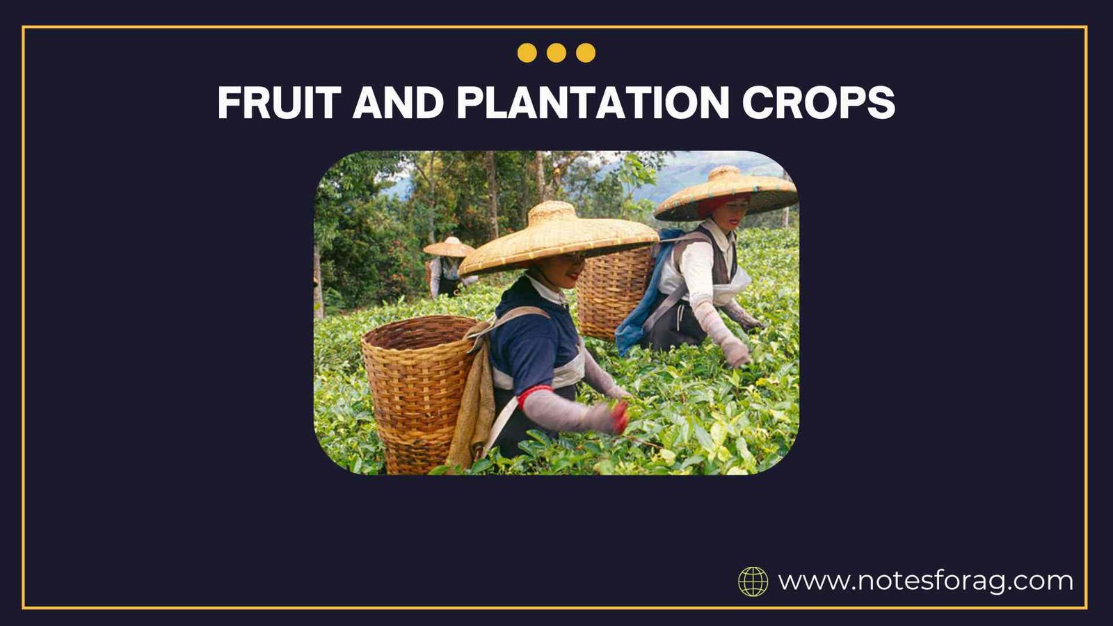 Production technology for fruit and plantation crops