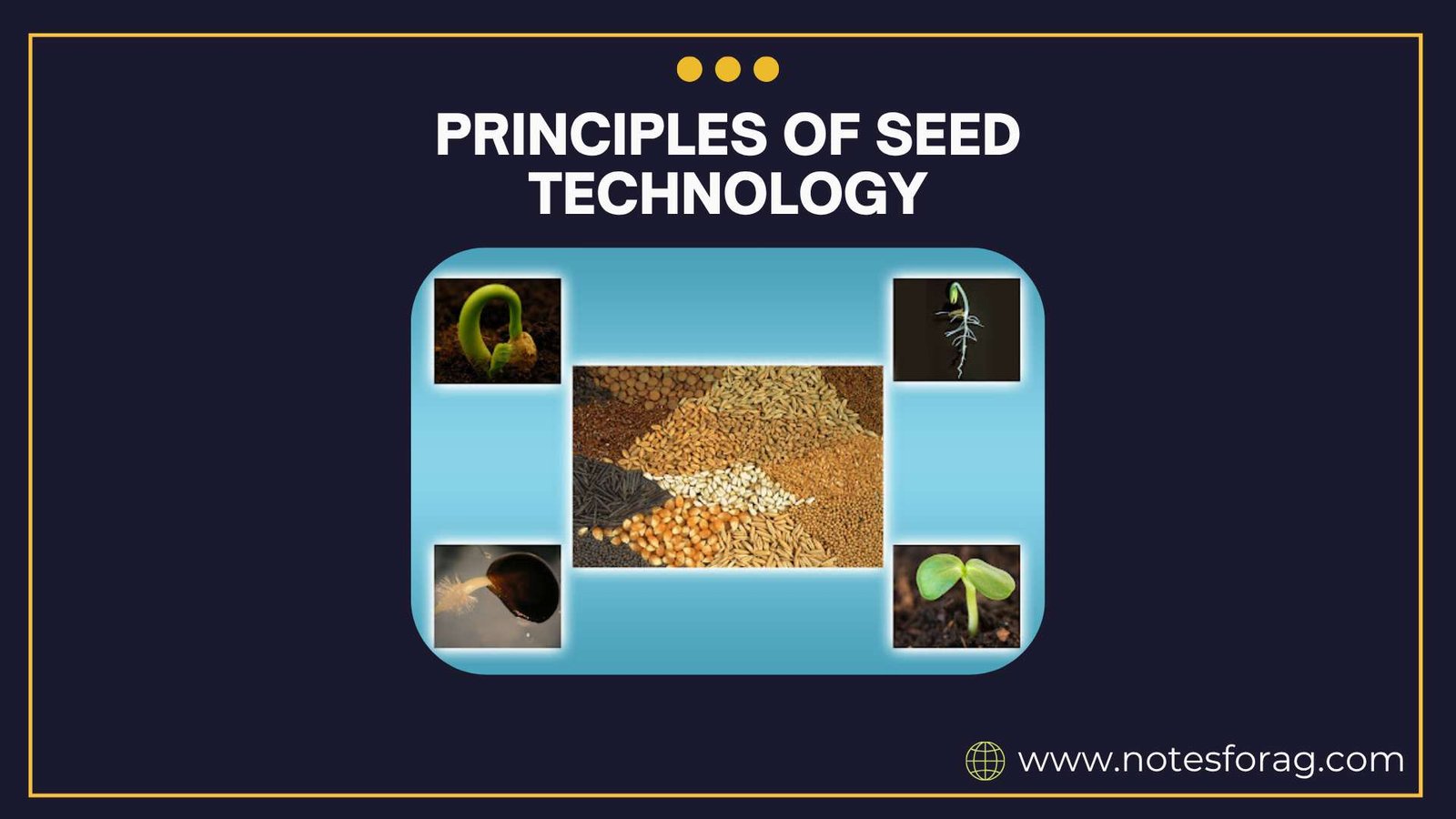 Principles of seed technology