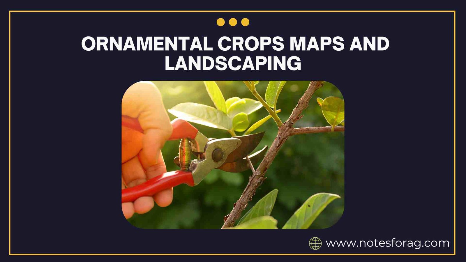 Production technology for ornamental crops maps and landscaping