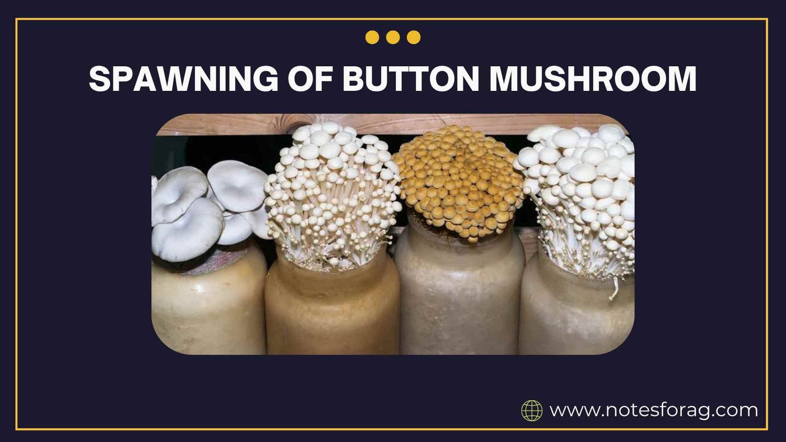 Spawning in button mushroom