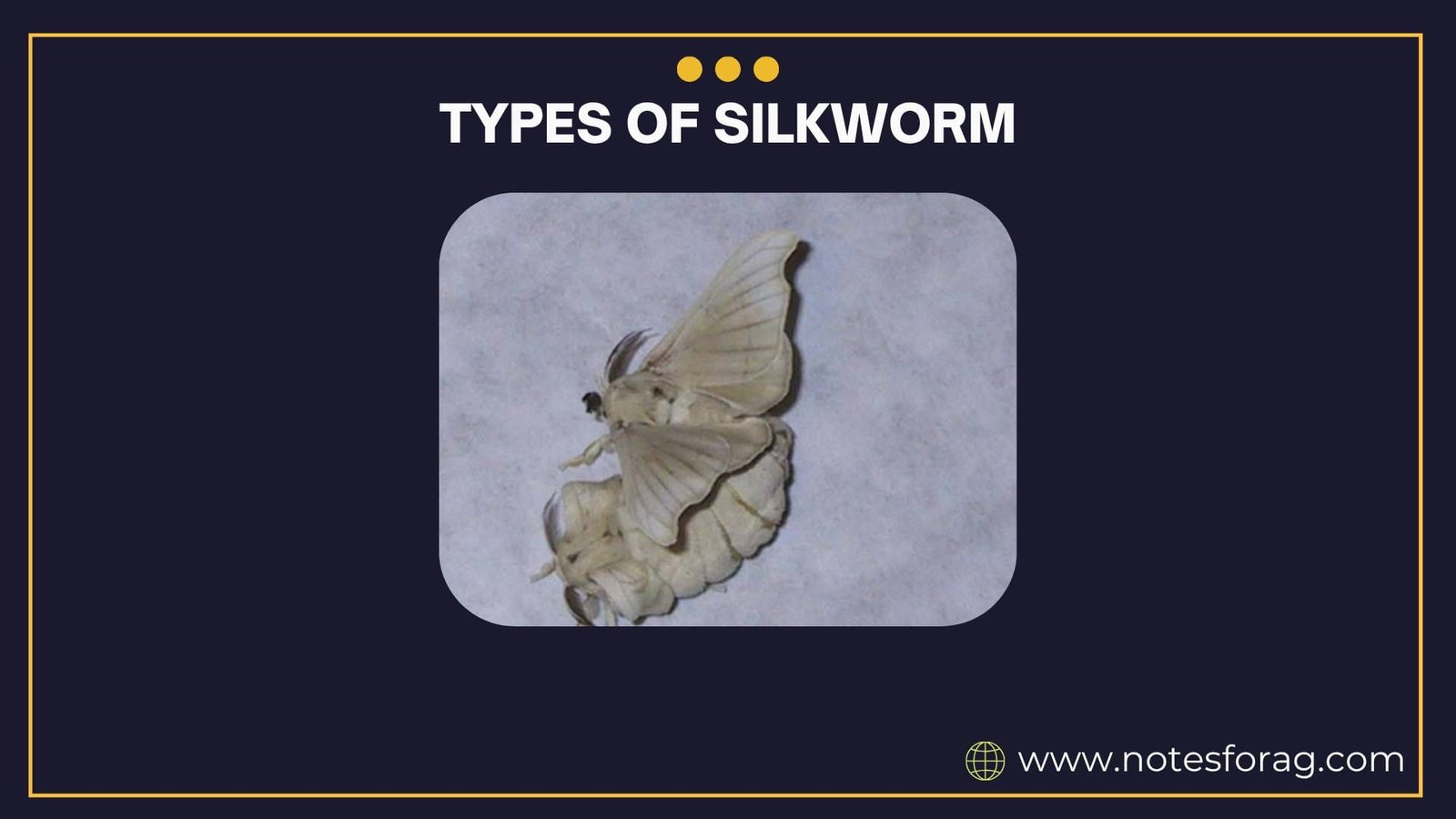 Types of silkworms in India