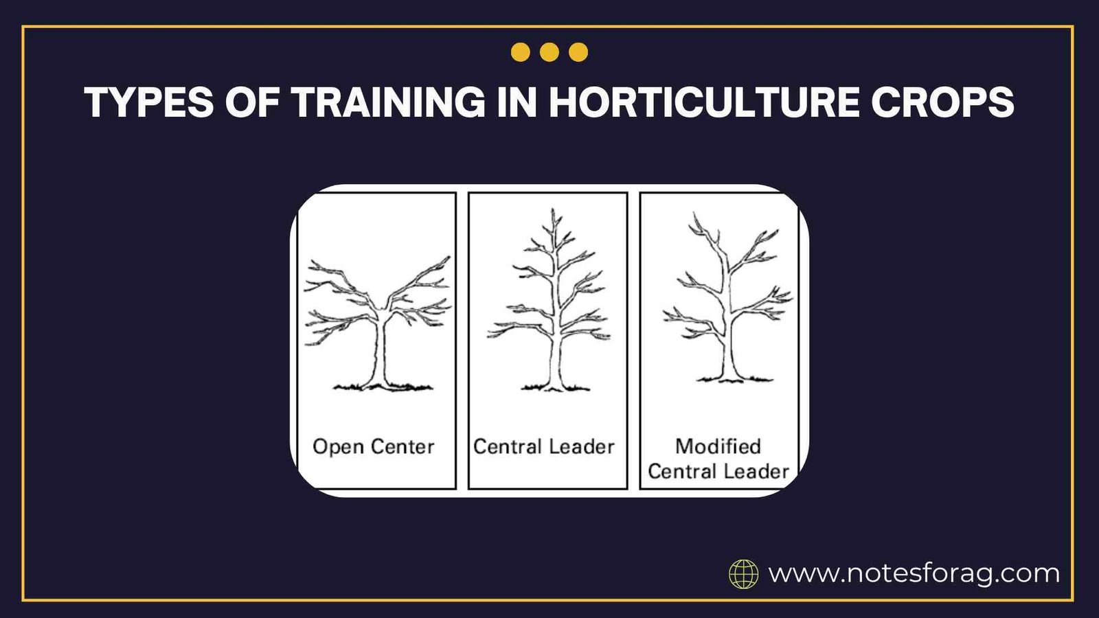 Types of training in horticulture crops
