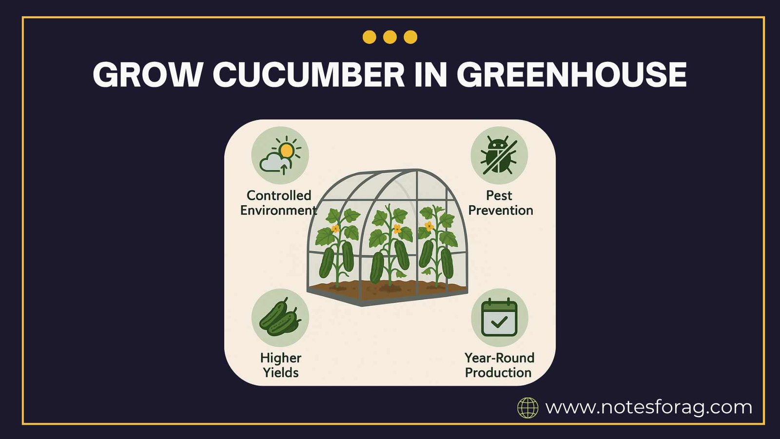 How to grow cucumber in greenhouse