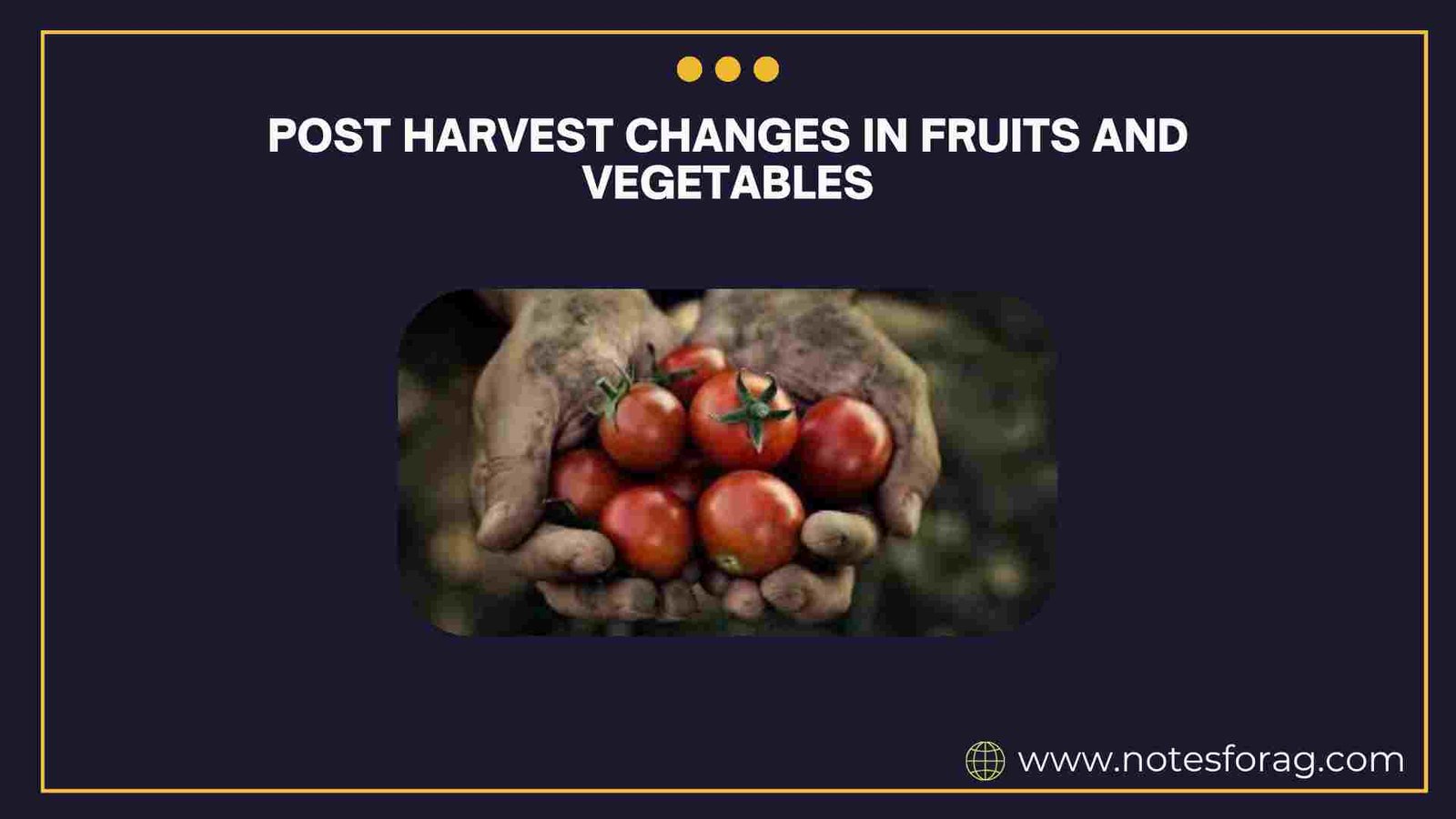 post harvest changes in fruits and vegetables