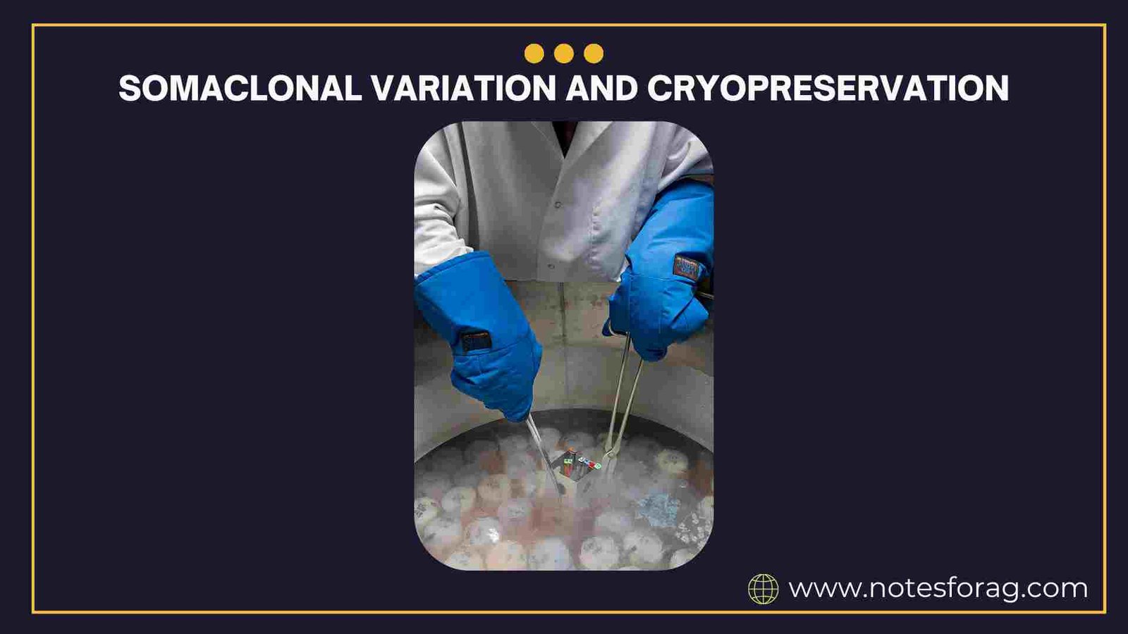 somaclonal variation and cryopreservation